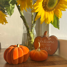Load image into Gallery viewer, Velvet Pumpkin Duo | Autumn Home Decor