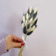 Load image into Gallery viewer, BUNNY GREY-WHITE MIX | bunny tails grass