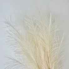 Load image into Gallery viewer, LUNAR white | faux pampas