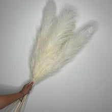 Load image into Gallery viewer, CLOUD | light fluffy pampas