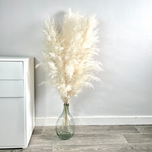 Load image into Gallery viewer, CLOUD | light fluffy pampas