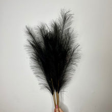 Load image into Gallery viewer, LUNAR black | faux pampas