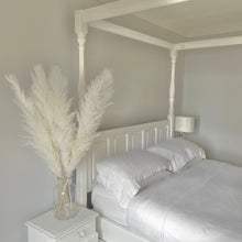 Load image into Gallery viewer, CLOUD | light fluffy pampas