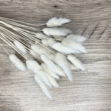 Load image into Gallery viewer, BUNNY WHITE | bunny tails grass