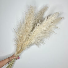 Load image into Gallery viewer, BLONDE | light fluffy pampas
