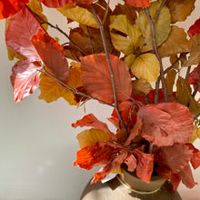 Load image into Gallery viewer, Preserved Beech Stems | AUTUMN COLLECTION | DRIED FLOWERS