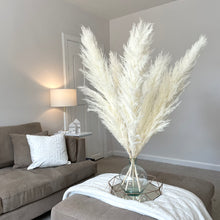 Load image into Gallery viewer, CLOUD | light fluffy pampas
