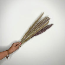 Load image into Gallery viewer, DRIZZLE | small pampas