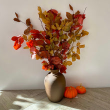 Load image into Gallery viewer, Preserved Beech Stems | AUTUMN COLLECTION | DRIED FLOWERS