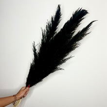 Load image into Gallery viewer, SHADOW | black fluffy pampas