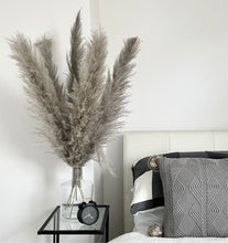 Load image into Gallery viewer, DAWN | greige fluffy pampas