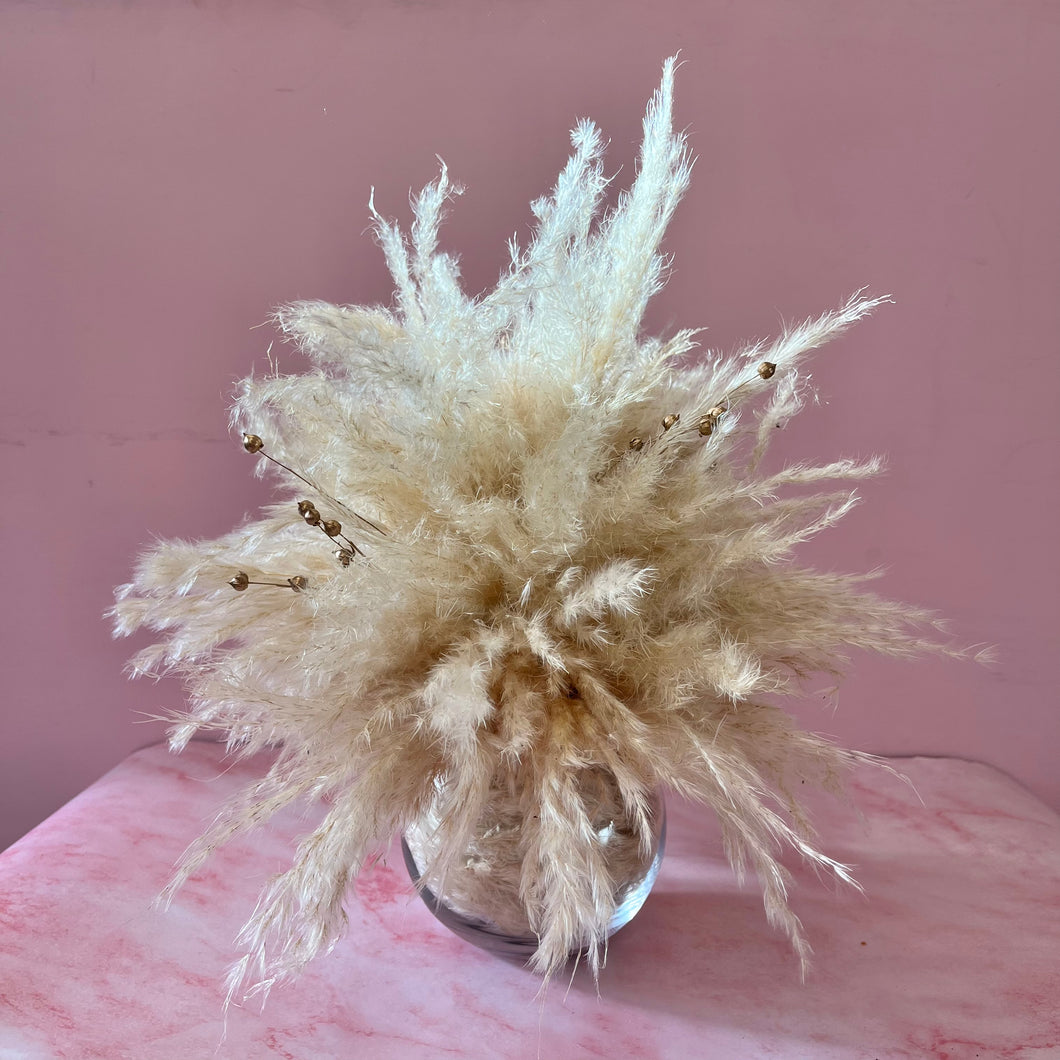 PAMPAS TREE | WINTER COLLECTION | DRIED FLOWER BOUQUET