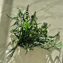 Load image into Gallery viewer, FORESTBELL| Mixed Preserved Foliage | Wild Dried Flower Bouquet
