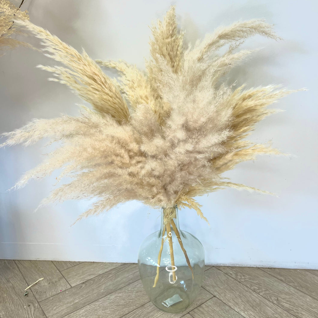 FLUFFY PAMPAS VASE |  Vase Arrangement