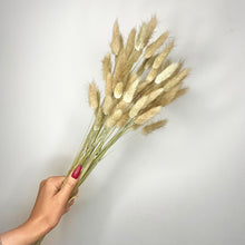 Load image into Gallery viewer, BUNNY NEUTRAL | bunny tails grass
