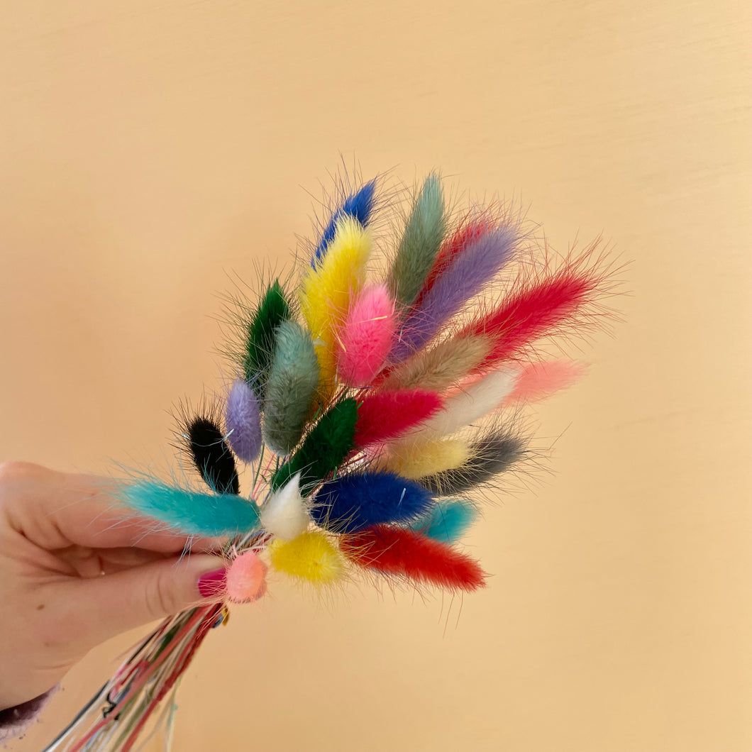 BUNNY RAINBOW | bunny tails grass