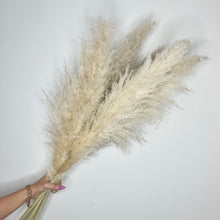 Load image into Gallery viewer, BLONDE | light fluffy pampas
