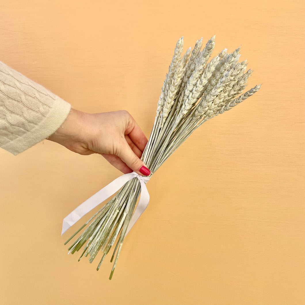 WHITE WHEAT | dried stems