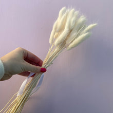 Load image into Gallery viewer, BUNNY WHITE | bunny tails grass
