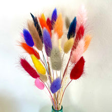 Load image into Gallery viewer, BUNNY RAINBOW | bunny tails grass
