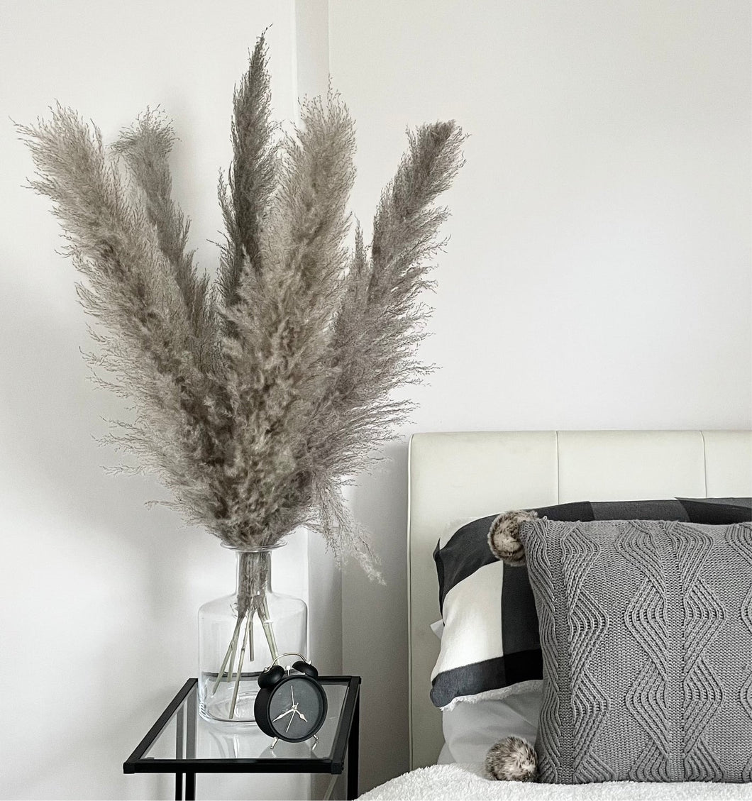 DAWN | greige fluffy pampas