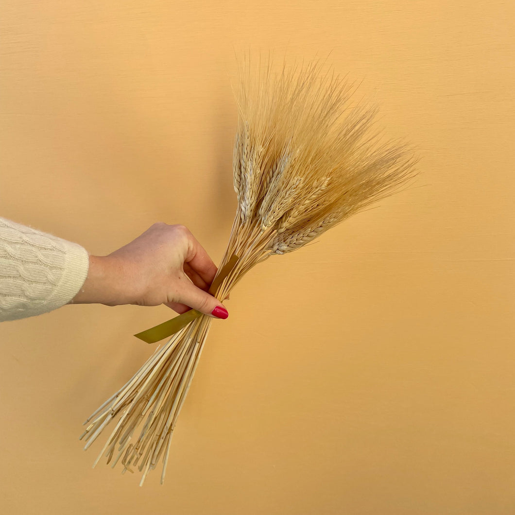 GOLDEN WHEAT | dried stems