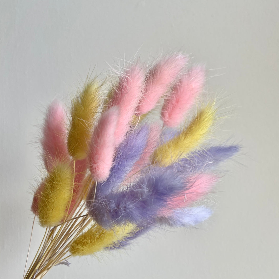 BUNNY EASTER MIX | bunny tails grass