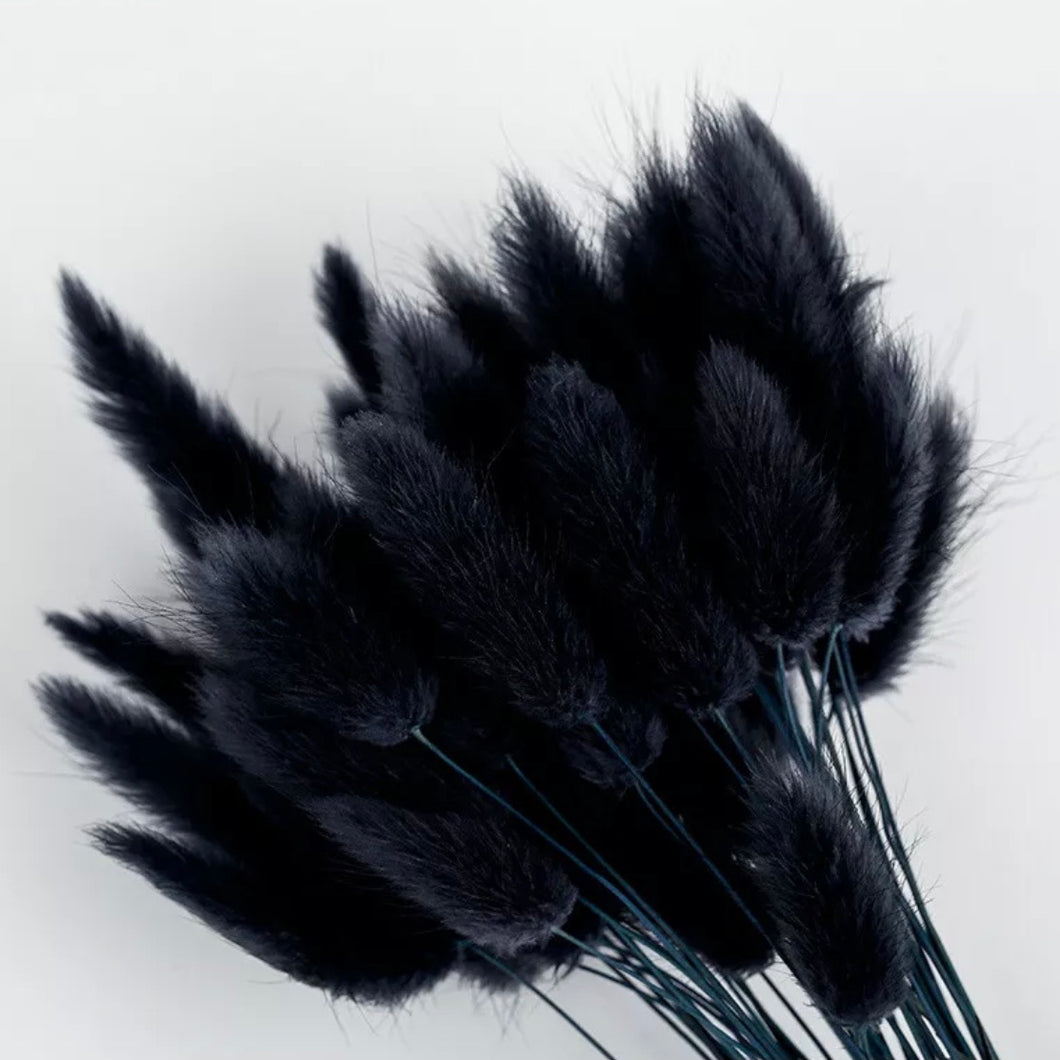 BUNNY BLACK | bunny tails grass